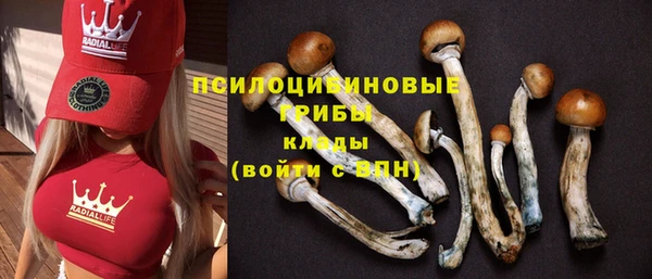 спайс Вязьма
