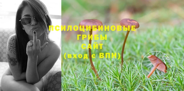 спайс Вязьма