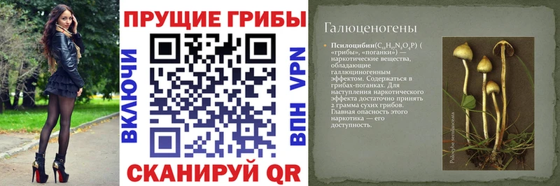 Купить закладки  Новоуральск  Галлюциногенные грибы мицелий 